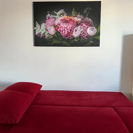 Delightful With Balcony Near Hockenheimring 3*