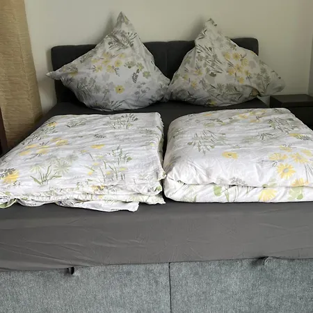 Гостевой дом Delightful With Balcony Near Hockenheimring 3*